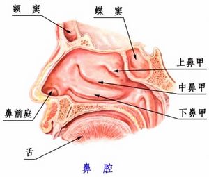 解析慢性早泄的两大类型