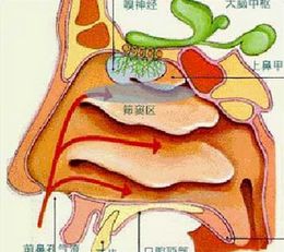 早泄的四大检查