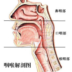 长时间说话声音嘶哑的原因