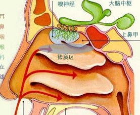 早泄