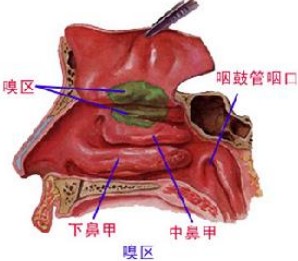 前列腺炎