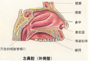 早泄应该怎样做好日常预防