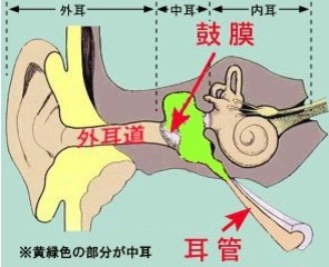 得睾丸附睾炎的原因是什么？