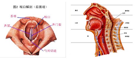 乌兰察布鞘膜积液有哪些治疗方法?