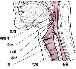 阴茎短小的治疗方法有哪些