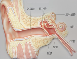 耳膜穿孔会导致哪些危害