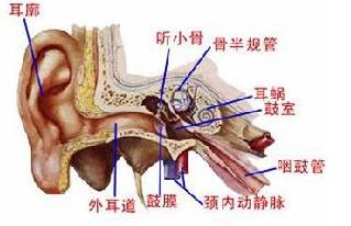 精囊炎怎么治疗好